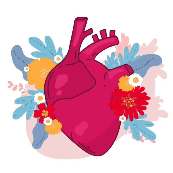 Σχεδιασμός Διάνυσμα Καρδιάς Ρεαλιστικές Εικόνες Ανατομίας Εσωτερικά Όργανα Του Ανθρώπινου — Διανυσματικό Αρχείο
