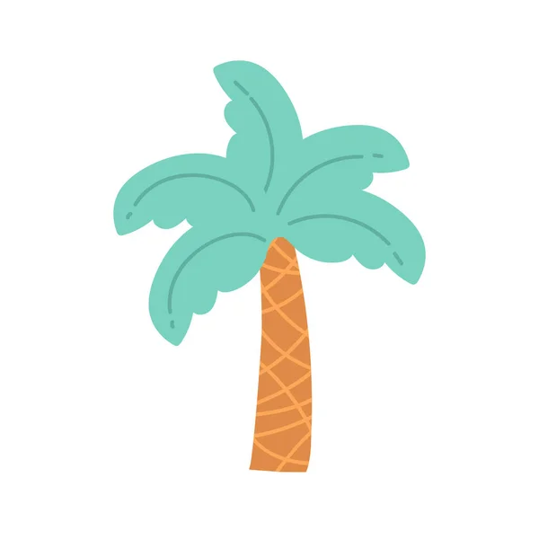 Handgezeichnete Palmenvektorillustrationen — Stockvektor