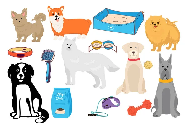Kutyagyűjtemény Vektor Illusztráció Vicces Rajzfilm Különböző Fajták Kutyák Trendi Lapos — Stock Vector