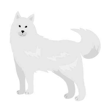 An illustration depicting Samoyed dog cartoon. vector isolated.