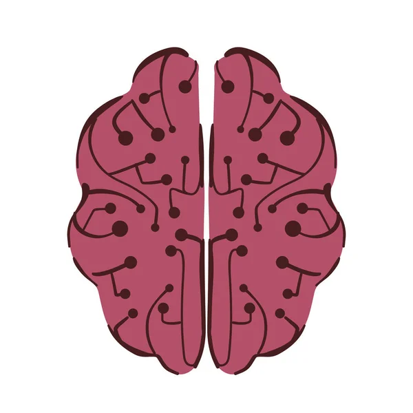 Εγκέφαλος Από Ψηφιακό Απομονωμένο Λευκό — Διανυσματικό Αρχείο