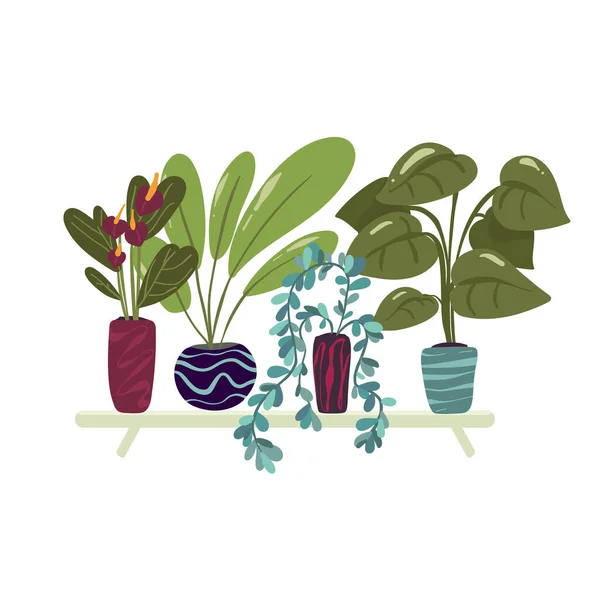 Organic Flat Houseplant Collection Vector Illustration Isolated White — Διανυσματικό Αρχείο
