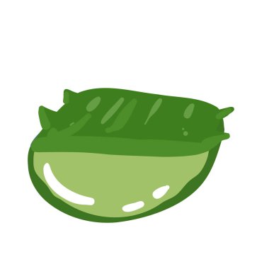Beyaz arkaplanda gerçekçi aloe vera vektör çizimi.