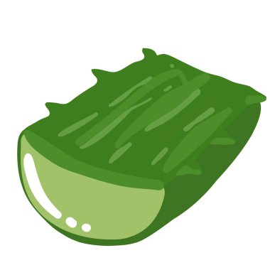 Beyaz arkaplanda gerçekçi aloe vera vektör çizimi.
