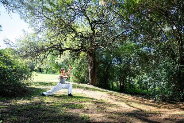 Una Mujer Practica Tai Chi Los Parques Practicar Aire Libre — Foto de Stock