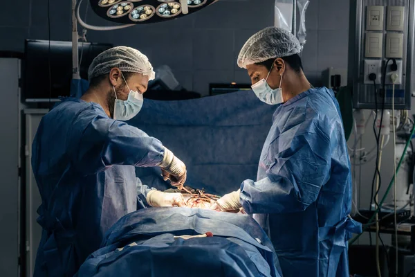 male surgeons operating on a patient in a hospital operating room. Side view. Scoliosis surgery.