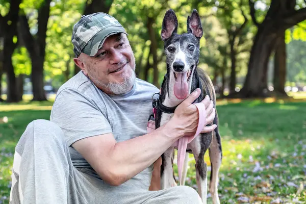 Close-up of a mature bald man smiles while sitting with his greyhound in the park.