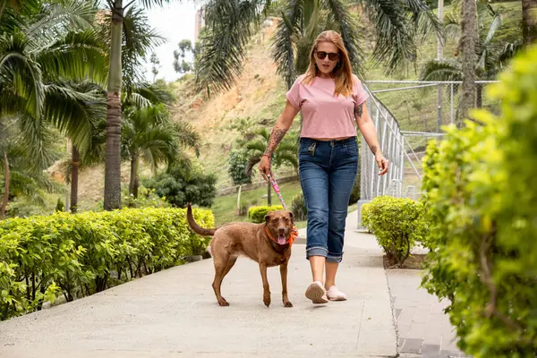 Woman walking her dog, dressed casually in jeans, a pink t-shirt, and sunglasses, in a private neighborhood full of plants and palm trees.