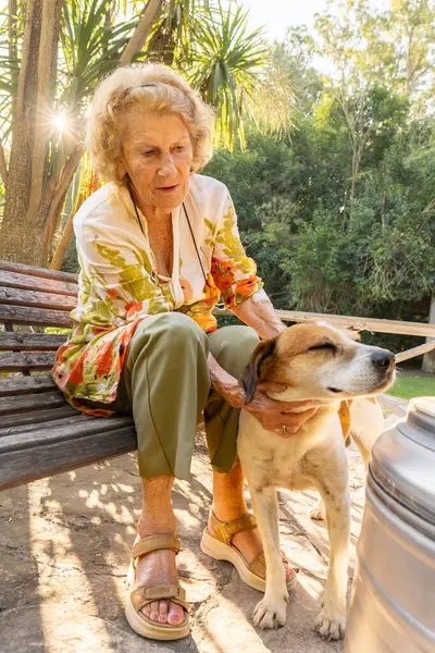Kıdemli kadın dışarıda huzurlu bir anın tadını çıkarıyor, arka bahçesindeki ahşap bir bankta oturuyor ve sıcak güneş ışığı altında köpeğini şefkatle okşuyor.