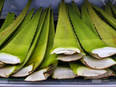 Aloe vera, Aloe cinsinden yoğun olarak içecekler, deri yayılımı, kozmetik ürünleri veya yanıklar için dış ilaçlar gibi ürünlerde bulunan bir bitki türüdür..