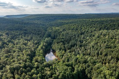 Bavyera 'daki büyük bir yaprak döken orman alanının havadan görünüşü