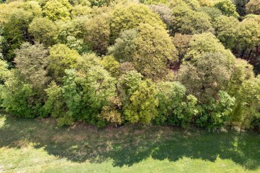 Yaprak döken bir ormanın kenarından hava manzarası