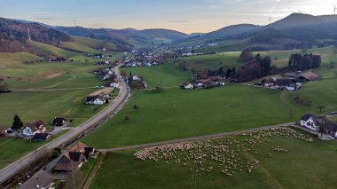 Aerial view of a Black Forest valley with a flock of sheep clipart