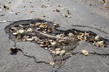 Ağaç köklerinden kaynaklanan asfalt hasarı