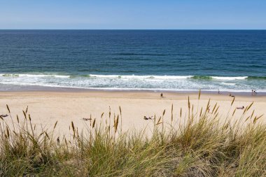 Sylt sahilinde kum çimleri