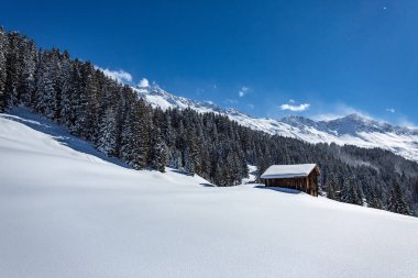 İsviçre Alplerinde kar yağışı