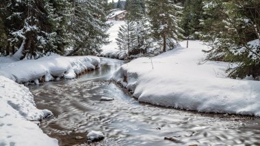 Lenzerheide 'de karla kaplı bir ormanın içinden geçiyor.
