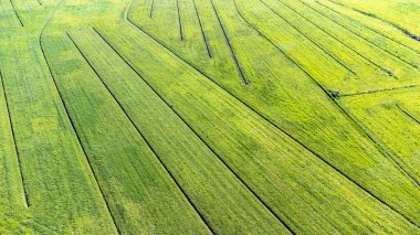 Geniş çayırların havadan görünüşü