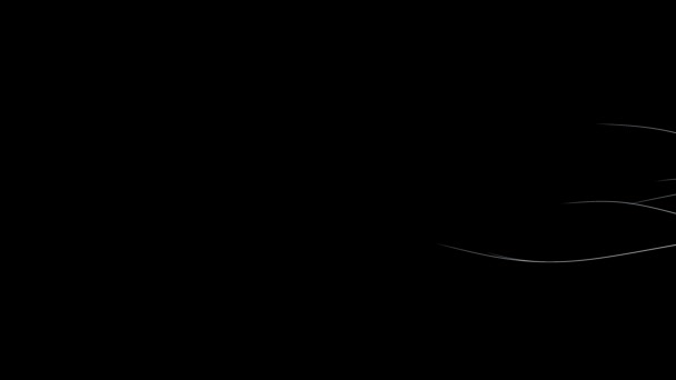Siyah Arkaplanda Yavaş Hareket Eden Soyut Kıvrımlı Beyaz Çizgi Dağılmış — Stok video