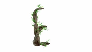 İngilizce metne göre ağaç ya da sarmaşık büyür. Harf yazı tipi E. Alpha Channel, cg animasyon, 3D Render.