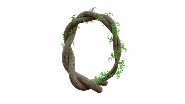 树的生长或藤蔓的形状为英文文本 字母字体Qalpha通道 Cg动画 3D渲染 — 图库视频影像