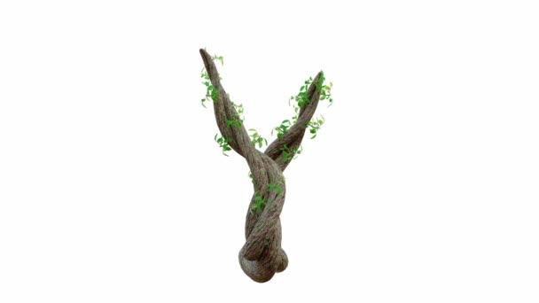 나무는 텍스트의 모양으로 포도나무 Alpha Channel 애니메이션 렌더링 — 비디오