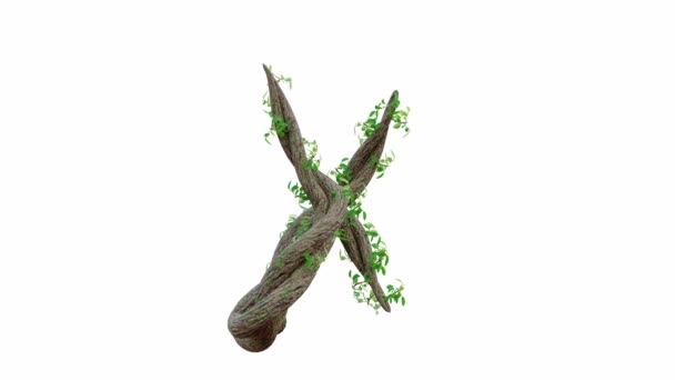 树的生长或藤蔓的形状为英文文本 字母字体X阿尔法通道 Cg动画 3D渲染 — 图库视频影像