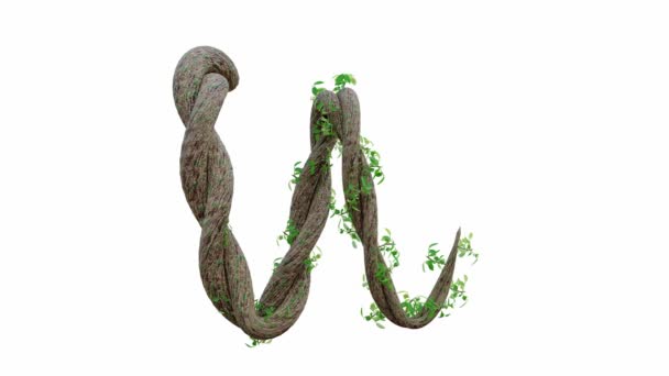 树的生长或藤蔓的形状为英文文本 字母字体W Alpha Channel Animation 3D渲染 — 图库视频影像