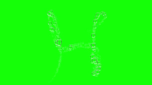 单词标签英文文本H 泡沫形状像字母H 动画在绿色屏幕上 3D渲染 — 图库视频影像
