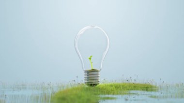 Çimenlerdeki ya da çayırlardaki ampullerde ağaç yetiştirme animasyonu. Çevredeki kavramsal tasarım veya enerji arkaplan kavramı. 3B Hazırlama.