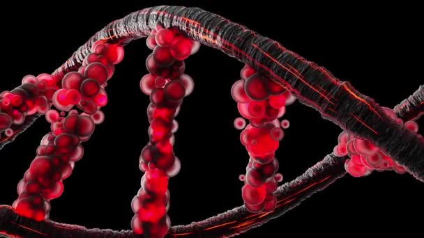 Dna Molecule Particles Green Screen Alpha Channel Translucent Black Red — Stock Video
