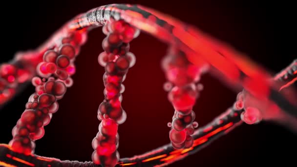 Dna Molecule Particles Translucent Black Red Selective Focus Red Black — Stock Video