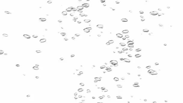 水泡在白色 黑色背景和绿色屏幕上上升 动画背景元素 3D渲染 — 图库视频影像