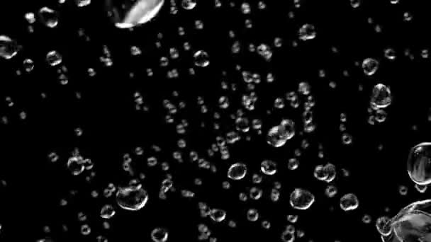 Vattenbubblor Pågår Svart Vit Bakgrund Och Grön Skärm Animation Bakgrundselement — Stockvideo