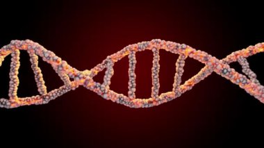 Karanlık arka planda DNA çift sarmallı. Animasyonsuz döngü, Alfa Kanalı ve Yeşil Ekran. Bilim ve genetik bilginin kavramsal tasarımı.