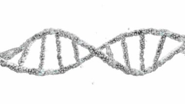 DNA çift sarmallı ve beyaz arka planda yüzen parçacıklar. Animasyonsuz döngü ve yeşil ekran. Bilim ve genetik bilginin kavramsal tasarımı. 3d Hazırlama.