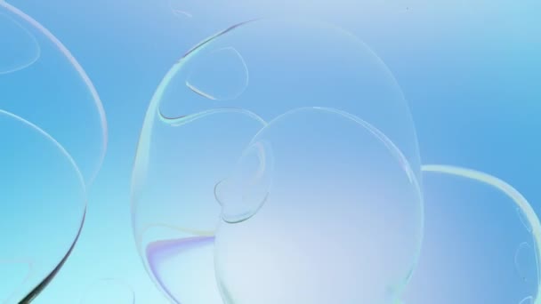 Water Bubble Element Animation Movement Air Bubbles Pastel Color Blue — Stock Video