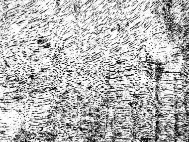 Siyah beyaz grunge. Tehlike örtüsü dokusu. Soyut yüzey tozu ve kaba duvar arkaplanı kavramı. Sıkıntı illüstrasyonu, grunge etkisi yaratmak için basitçe nesnenin üzerine yerleştirilir. Vektör EPS10.