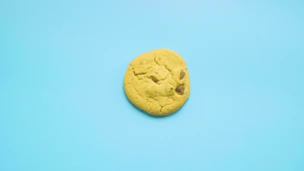 Pohybující Mizející Čokoládové Sušenky Modrém Hladkém Pozadí Cookies Legrační Stop — Stock video