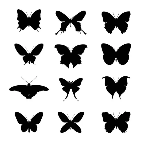 Stock vector Set of different butterflies silhouette vector illustration