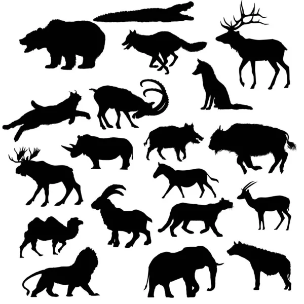 Набор Силуэтов Различных Животных — стоковый вектор