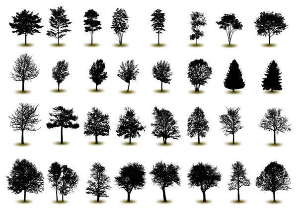 Tree Silhouette Forest Vector Nature Park Isolated Set Tree White — Stock Vector