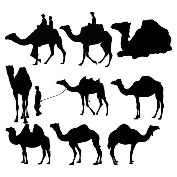 Free Camel Silhouette Vector Illustration — Stock Vector