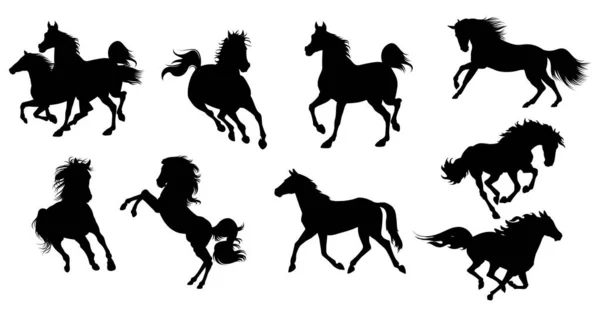 Collectie Van Paarden Silhouetten Witte Achtergrond — Stockvector