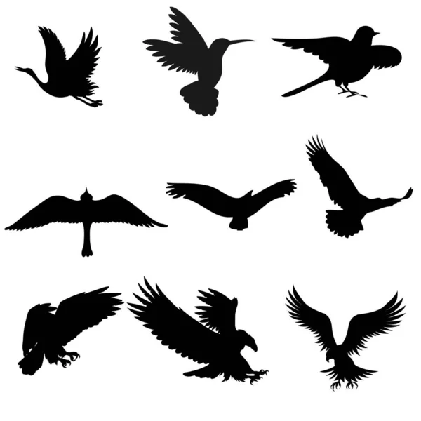 Vliegend Verschillende Type Vogels Silhouet Met Vleugels — Stockvector