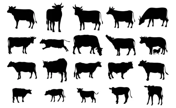 Beyaz arkaplanda izole edilmiş inek silueti.