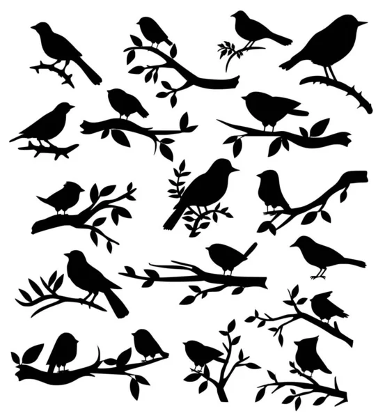 Kuş Dal Siluet Seti Vektör Illüstrasyonundaki Kuşlar Vektör Grafikler