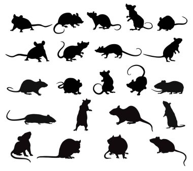 Fare siluetleri ayarlandı. Beyaz arkaplanda izole edilmiş vektör