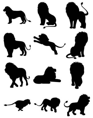 Aslan silueti vektör çizimi