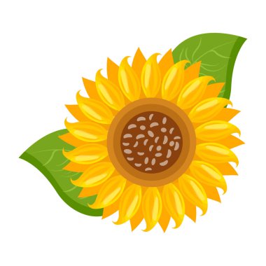 ayçiçeği ikonu. Ayçiçeği vektör simgesinin karikatür çizimi
